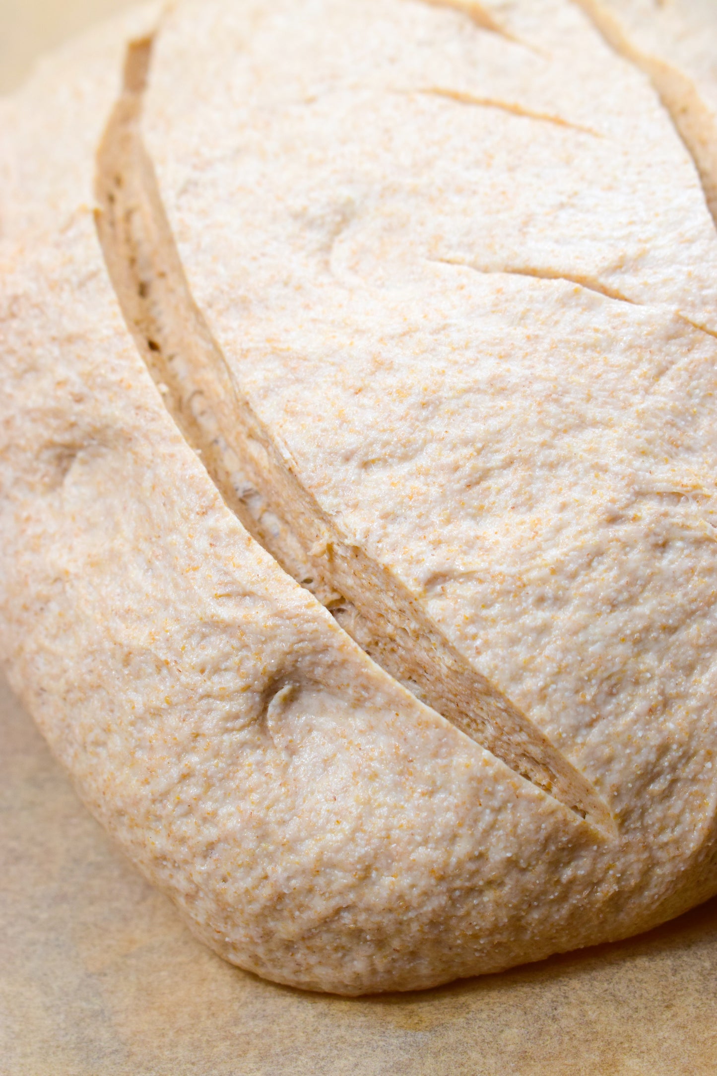 Pearled Wheat Flour (10kg bag)