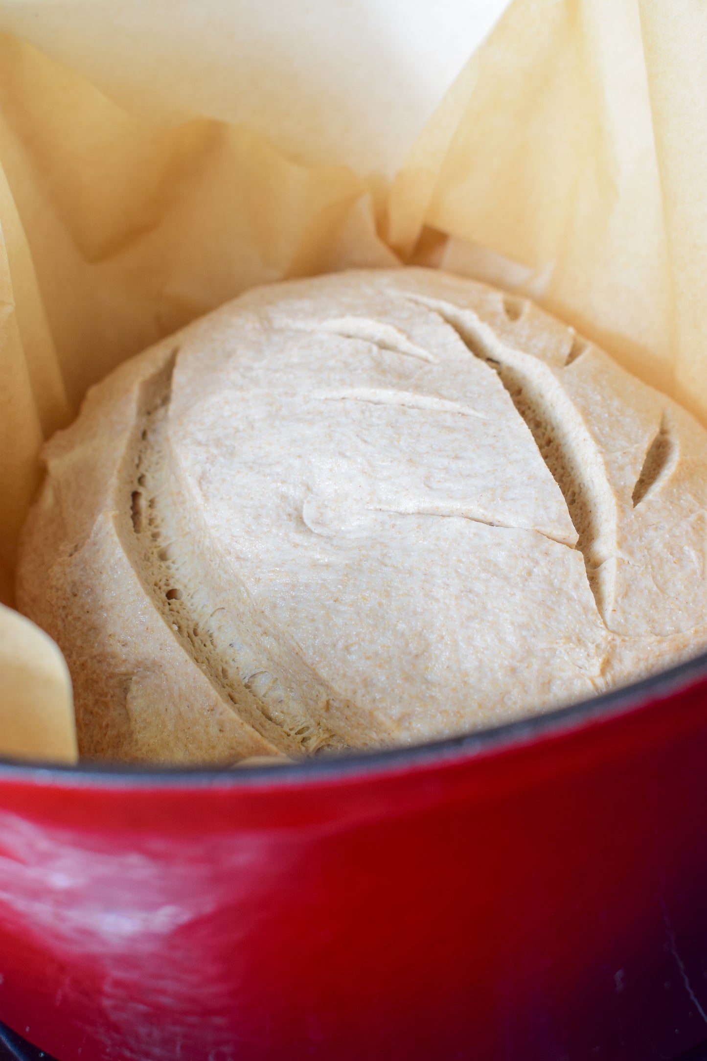 Pearled Wheat Flour (10kg bag)